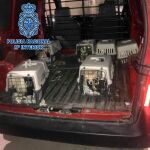Imagen de cómo se encontraban los animales cuando llegó la Policía
