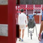 La llegada de Ahora Madrid a la Alcaldía supuso el final de la subvención que recibía la escuela y la salida de los animales de sus instalaciones