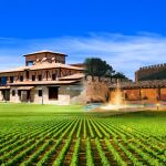 La bodega burgalesa que cosecha el vino más prestigioso del mundo