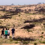 Estado que presentaba la zona de las Peñuelas de Moguer un año después del incendio