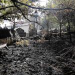 El cementerio de Caixide (Orense) presentaba ayer este aspecto. Estuvo a punto de ser pasto de las llamas