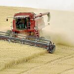 En la agricultura fue en el único sector en el que no subió el paro