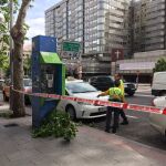 Zona acordonada dónde ha caído la rama del árbol