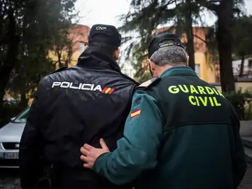 Policías y guardias civiles han decidido luchar juntos por la equiparación salarial con otras Policías del Estado / Foto: Alberto R. Roldán Policías y guardias civiles han decidido luchar juntos por la equiparación salarial con otras Policías del Estado / Foto: Alberto R. Roldán