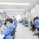 En Cataluña se diagnostican cada año 800 nuevos casos de infección por VIH