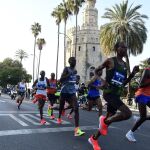 El Zurich Maratón de Sevilla a su paso por el Paseo de Colón