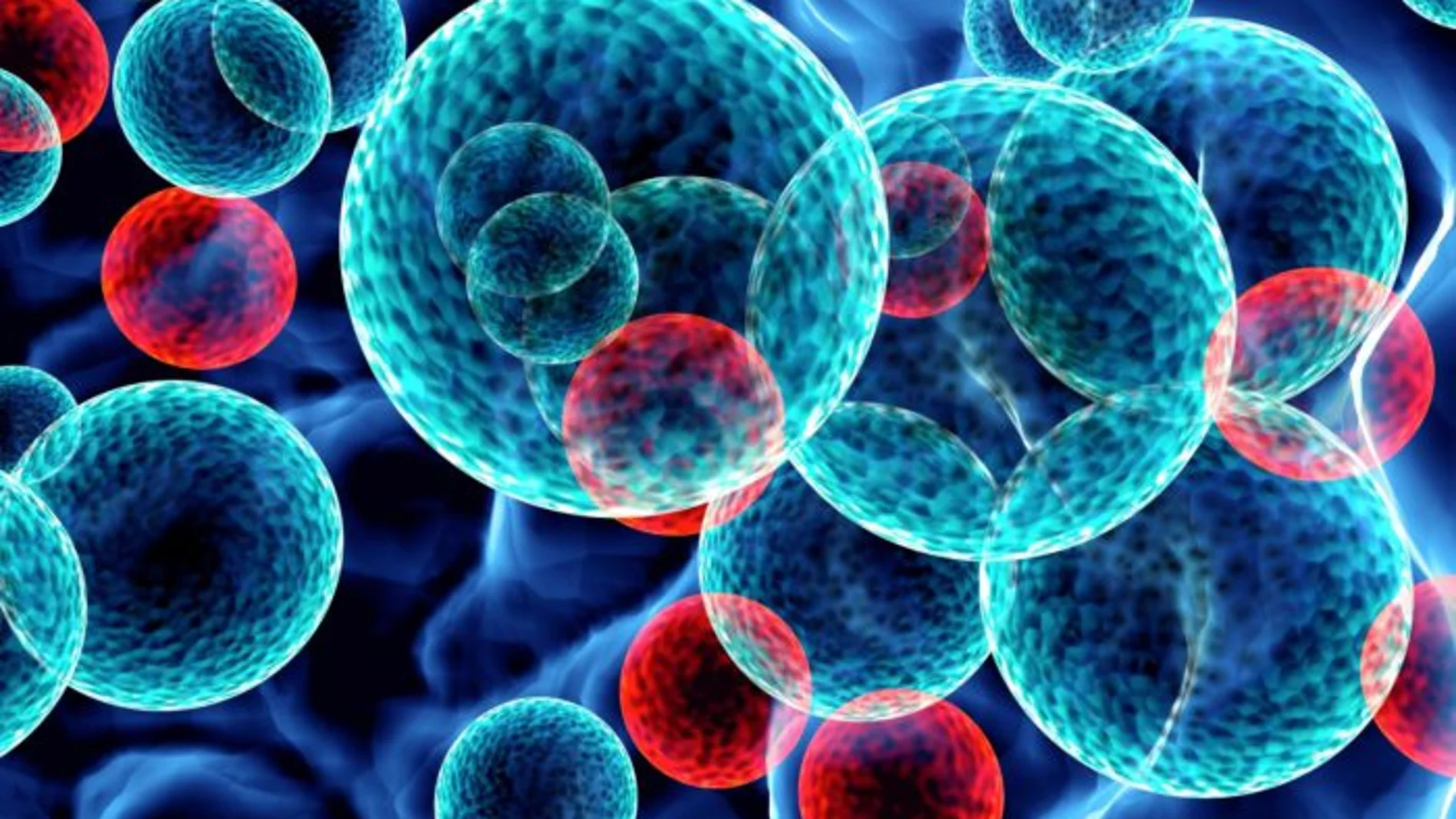 Representación de células sanas y células cancerígenas