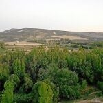 Vista del Cerro de las Albahacas, donde se han hallado tachuelas de sandalias romanas