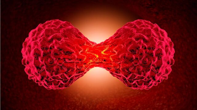 C&eacute;lula cancerosa / Foto: Dreamstime