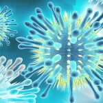 Imagen del virus de la gripe a vista de microescopio