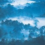 Los investigadores alertan de pérdidas alarmantes de espacios naturales. Desde la década de 1990, se ha perdido un área silvestre equivalente a dos veces el tamaño de Alaska y la mitad del tamaño de la Amazonia.