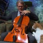 Un disco compuesto para ser escuchado por gatos se convierte en número uno