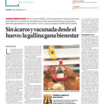 Innovadores Nº 38