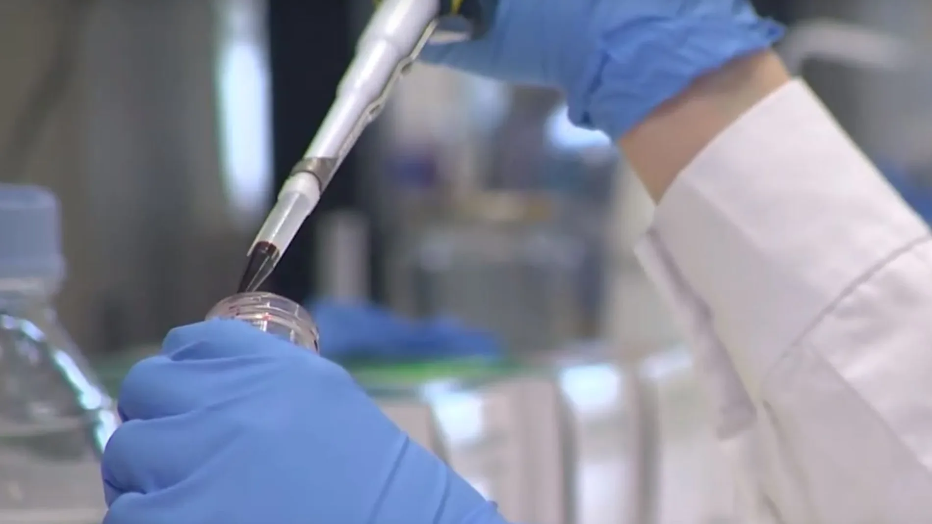 Investigadores españoles descubren en ratones un nuevo tratamiento del cáncer menos tóxico