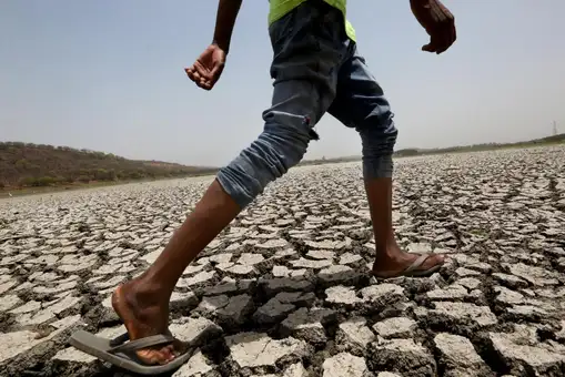 La degradación del suelo se dispara: más del 33% de la superficie mundial está afectada La degradación del suelo se dispara: más del 33% de la superficie mundial está afectada