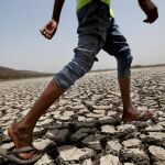 Las sequías, que serán cada vez más agudas y frecuentes, contribuyen a aumentar la degradación del suelo/Efe