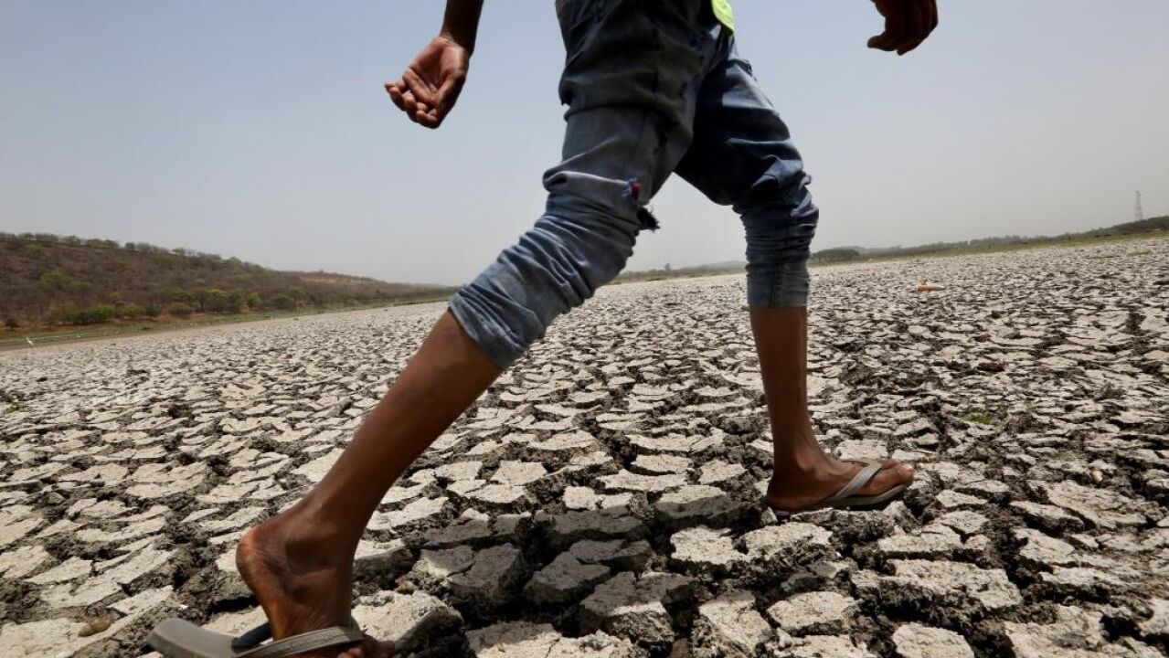 La degradación del suelo se dispara: más del 33% de la superficie ...