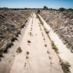 La sequía en el sur de Alicante se ha convertido en estructural