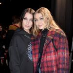 Bella y Gigi Hadid han escandalizado a sus seguidores