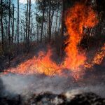 Llamas de un incendio en los montes próximos a la localidad cántabra de Ramales de la Victoria