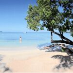 Jamaica, el Caribe que baila reggae