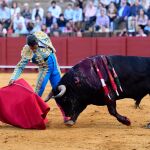 Bolívar da un derechazo, esta tarde, en Sevilla Fotos: Manuel Olmedo