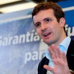 El presidente del PP, Pablo Casado/Foto: Efe