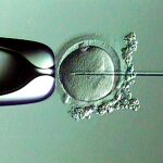 El 15 por ciento de los hombres tiene problemas para reproducirse