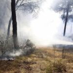 fectivos del INFOCA durante las labores de extinción del incendio iniciado esta tarde en el paraje Las Cumbres de Cartaya