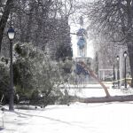 La misma semana en la que un pino provocó la muerte de un niño, otros diez ejemplares cayeron en El Retiro