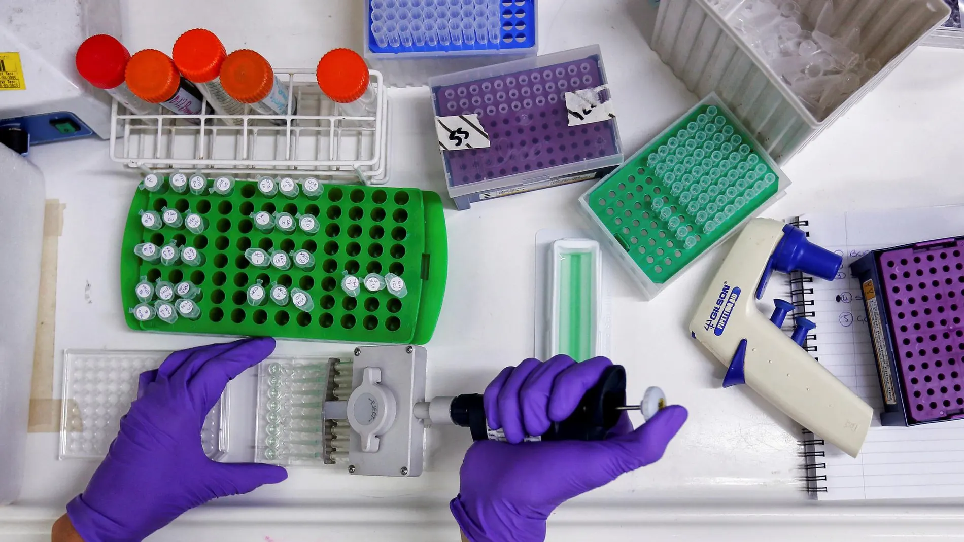 Un estudio sugiere que el tumor causa mutaciones que pueden ser detectadas en ADN circulante en pacientes con estadios precoces de cáncer