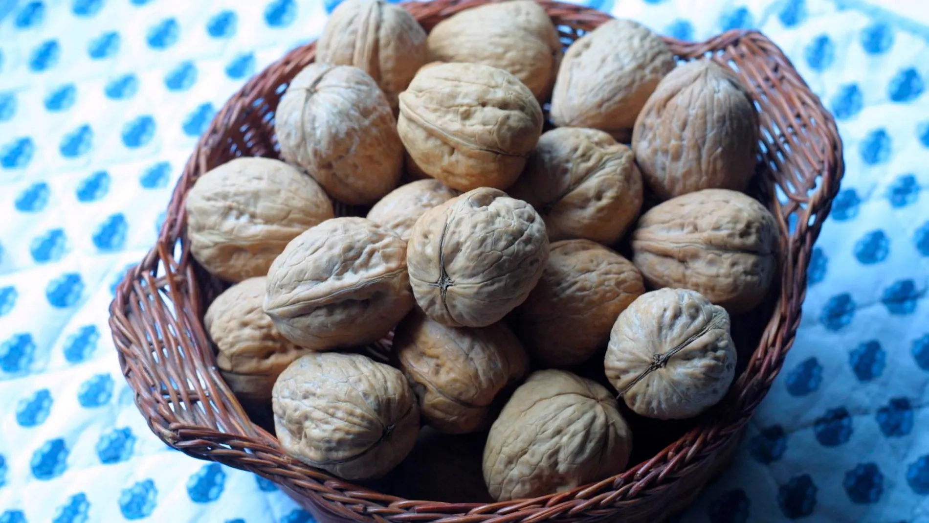 El estudio ensalza las propiedades de los frutos secos / C. Pastrano