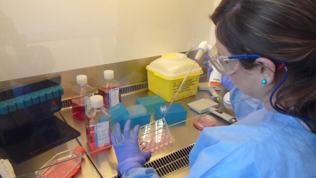 Investigación en el hospital 12 de Octubre de Madrid.