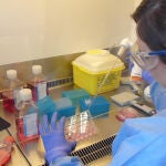 Investigación en el hospital 12 de Octubre de Madrid.