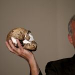 Una réplica del «Homo naledi», descubierta en el año 2015
