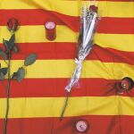 Angelets de la terra