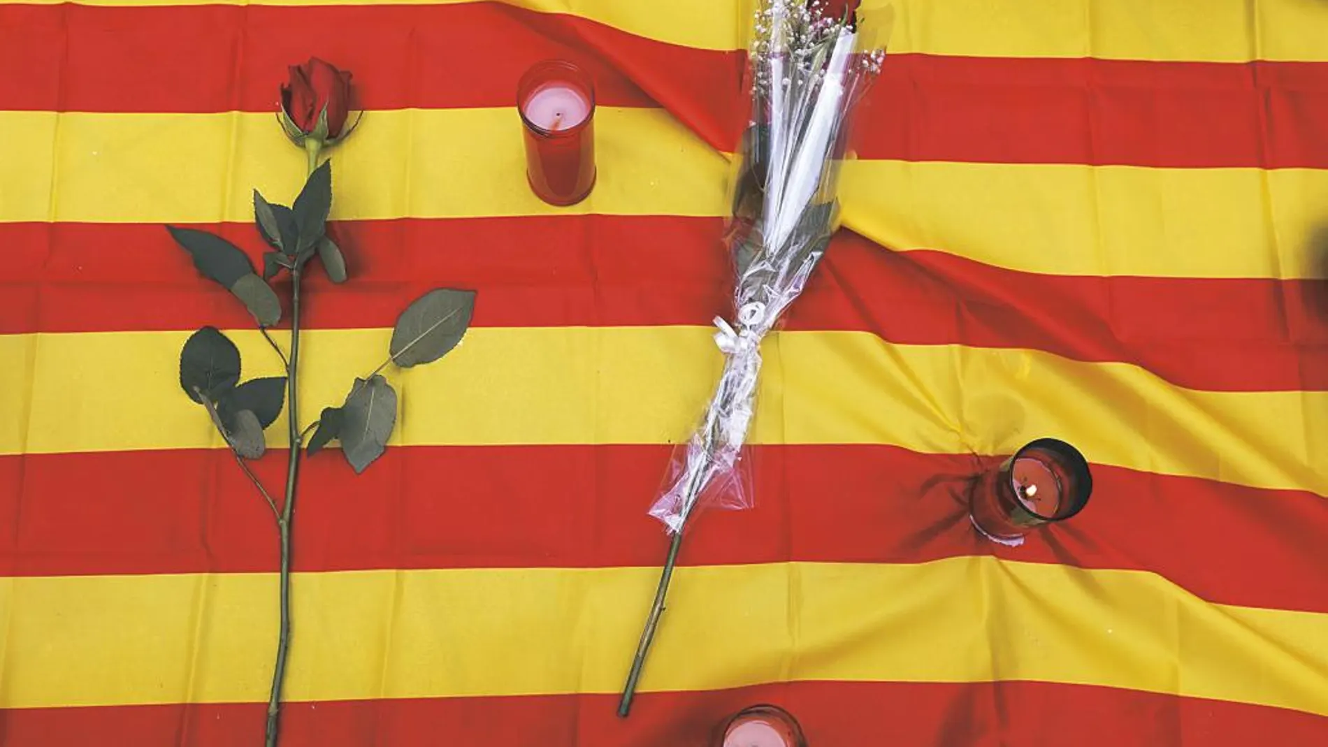 Angelets de la terra