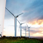 Suecia es el único país de la UE que obtiene más de la mitad de su energía de fuentes renovables