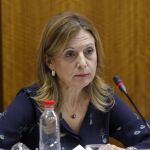 La consejera de Salud, Marina