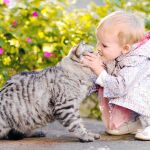 Tener un animal de compañía enseña responsabilidad y respeto a los más pequeños