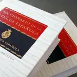 Diccionario de la RAE