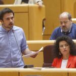 El portavoz de Podemos en el Senado, Ramón Espinar