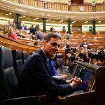 Pedro Sánchez, en el Congreso/Foto: J. FDEZ.-Largo