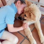 UNA AMISTAD. Tom y Goya, durante uno de los juegos que forman parte del entrenamiento diario que requiere el adiestramiento del perro