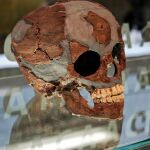Un cráneo de bebé neandertal