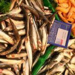 Los pescados más infectados suelen ser los boquerones y las sardinas
