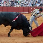 Javier Castaño torea con la izquierda a un toro de Miura en la pasada Feria de Abril