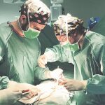 Permite estudiar variables registradas en más de 370 casos intervenidos de aneurisma de aorta abdominal