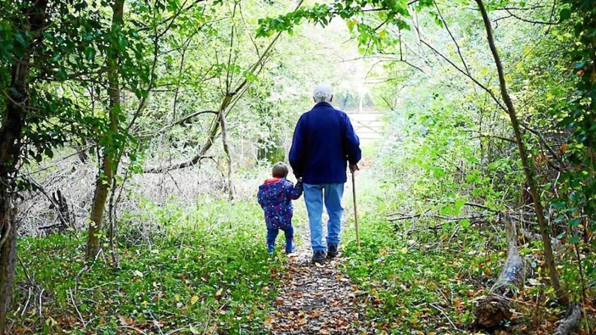Las denuncias ante los tribunales de abuelos a los que no permiten ver a sus nietos se ha incrementado en los últimos años