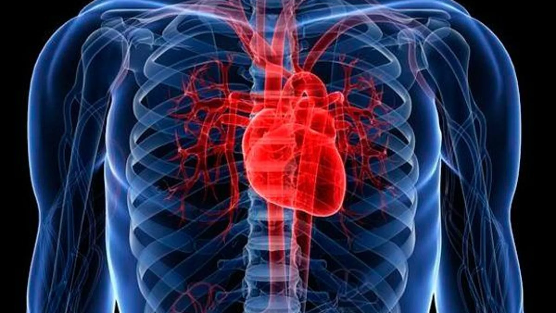 Los cardiólogos piden a las farmacias que sean su «red de desfibriladores»